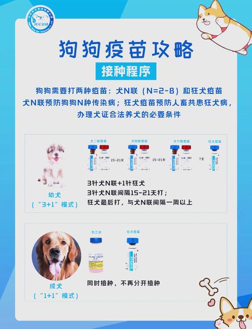狗狗需要多久打一次防疫针?