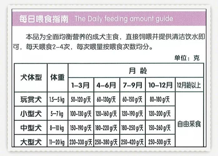 狗狗多大喂成犬粮