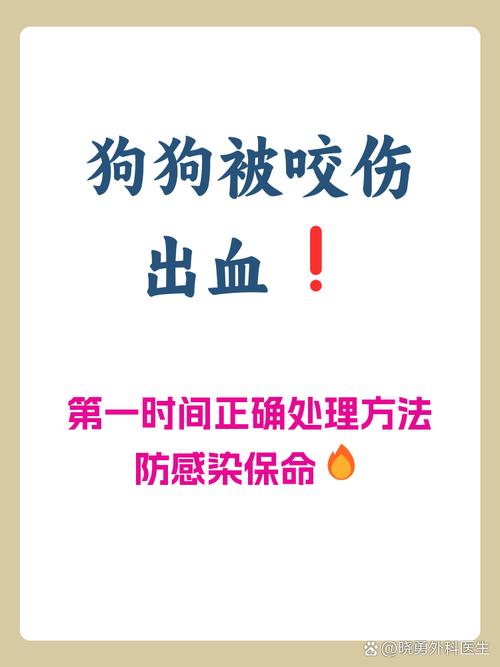 狗狗被咬伤了伤口有点化脓怎么办