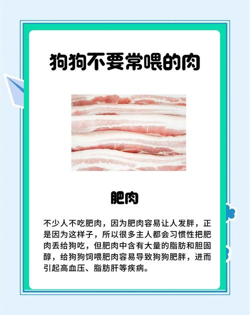 狗狗喜欢吃肥肉吗?