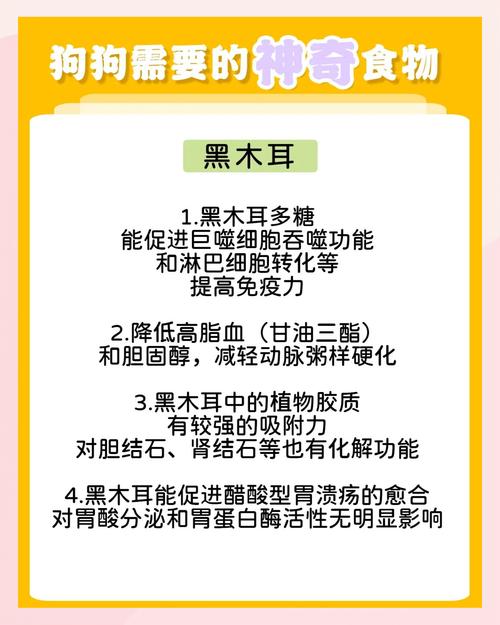 狗能不能吃黑木耳