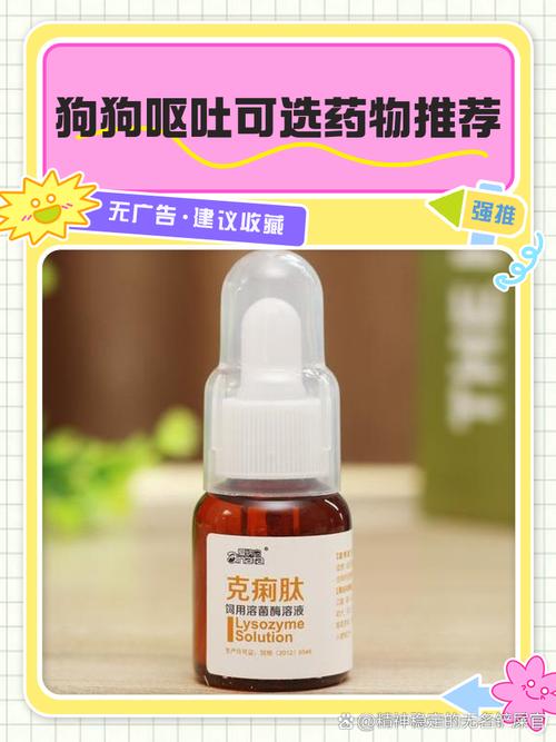 小狗狗呕吐是怎么回事吃什么药