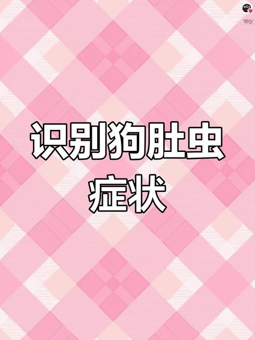 小狗狗吐了是怎么回事