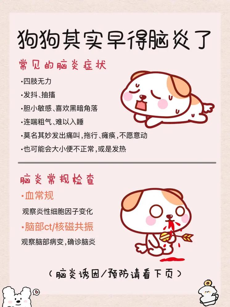 狗狗脑膜炎的治疗方法