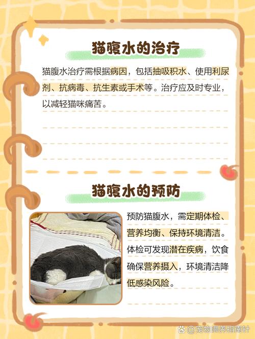 猫腹水吃什么药排腹水