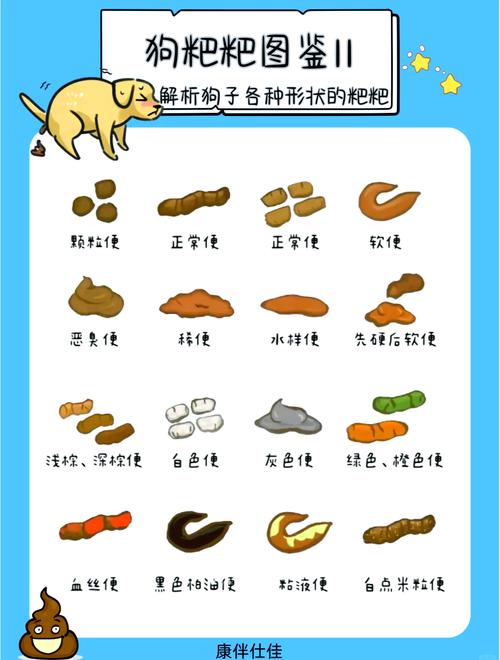 狗狗便便健康自检!还不快看过来!