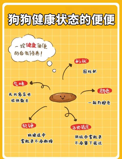 狗屎怎么处理