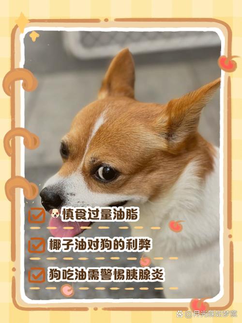 狗为什么不吃羊油