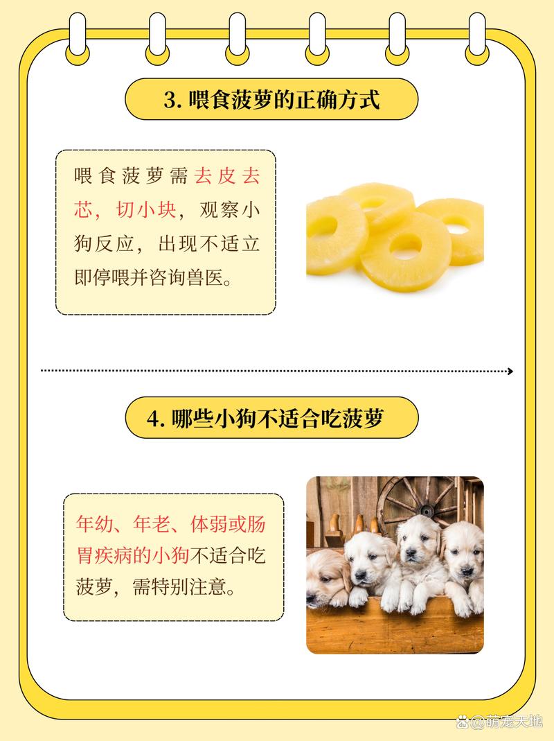 狗狗可以吃凤梨吗?