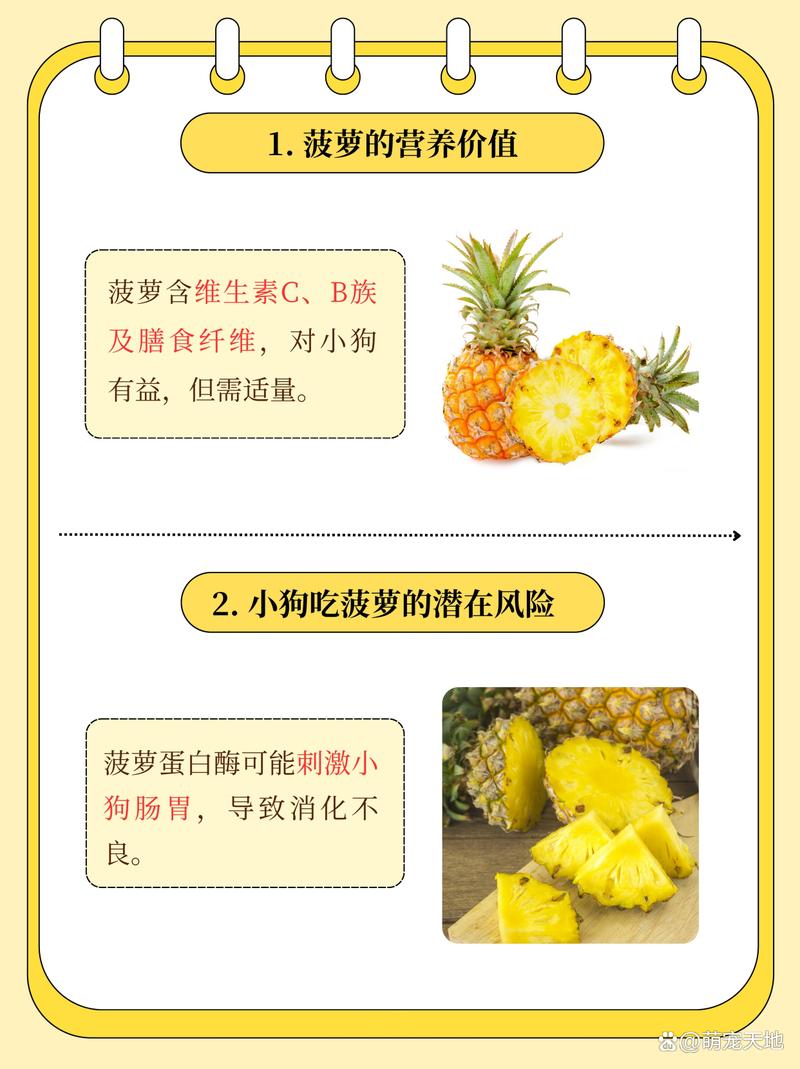 狗狗能吃凤梨吗?