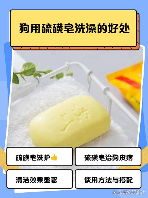 用硫磺皂给狗狗洗澡可以去除跳蚤吗?有什么依据?