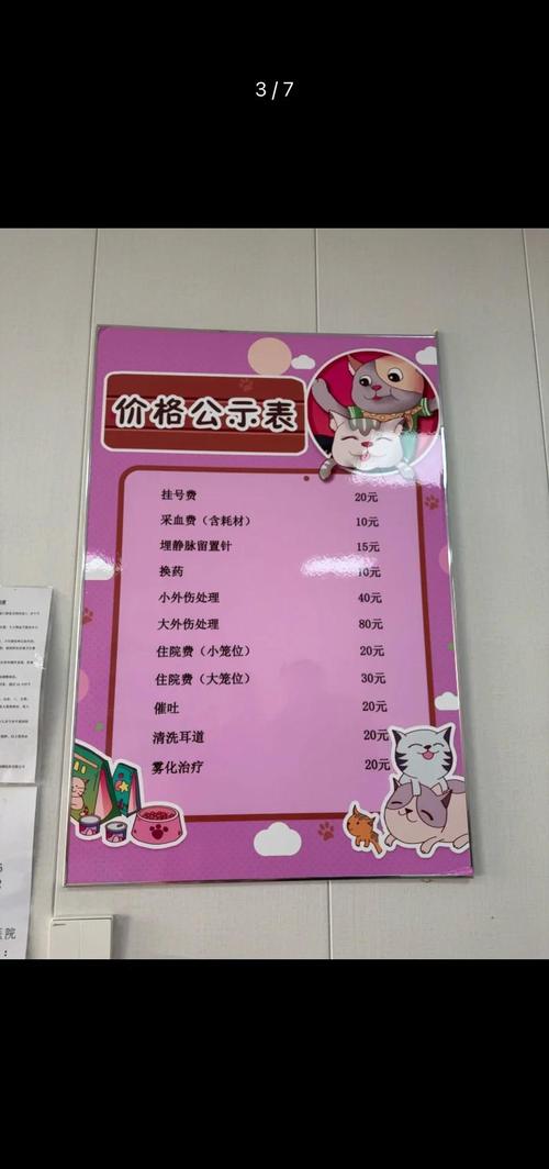 猫咪节育手术多少钱?