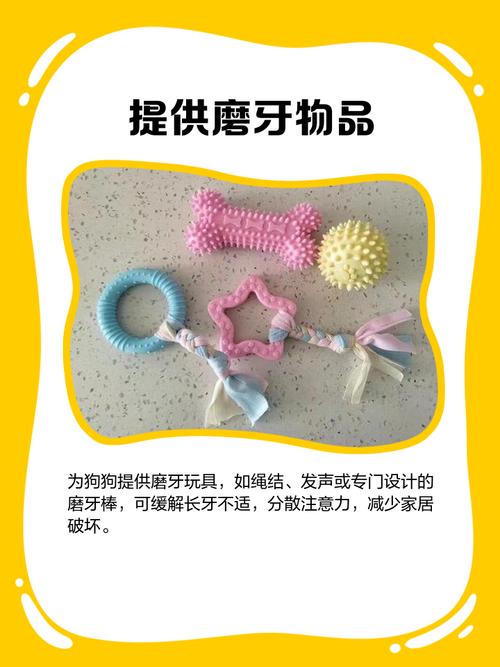 狗狗乱吃东西怎么办