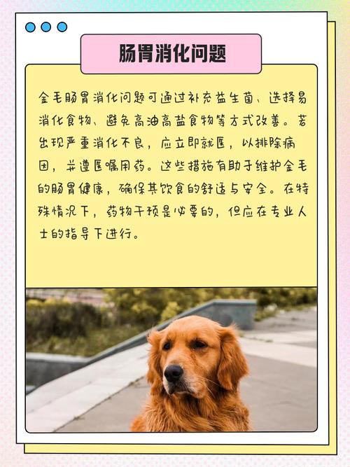 狗狗“找叶子吃”,是因为这5个原因!