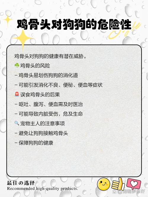 狗狗可以喝什么汤?