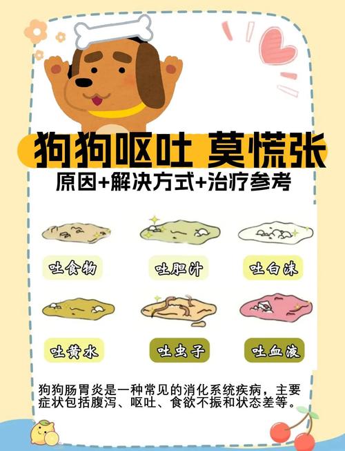 狗狗急性肠胃炎吃什么药?