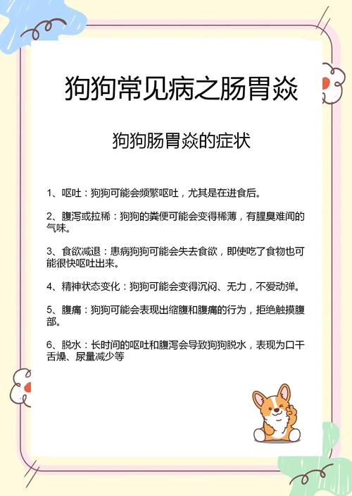 狗狗急性肠胃炎