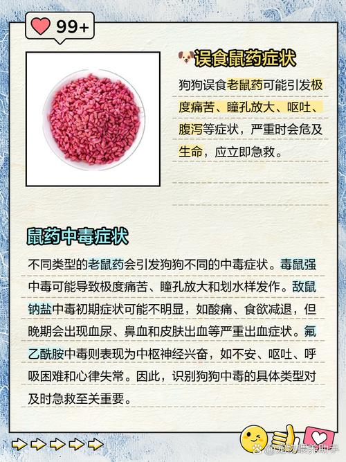 狗狗吃了老鼠药多久会发作