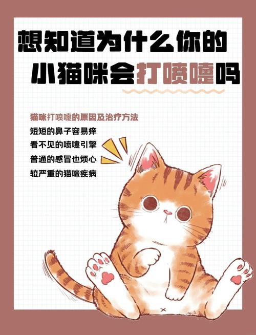 猫咪打喷嚏鼻子干的原因及处理方法