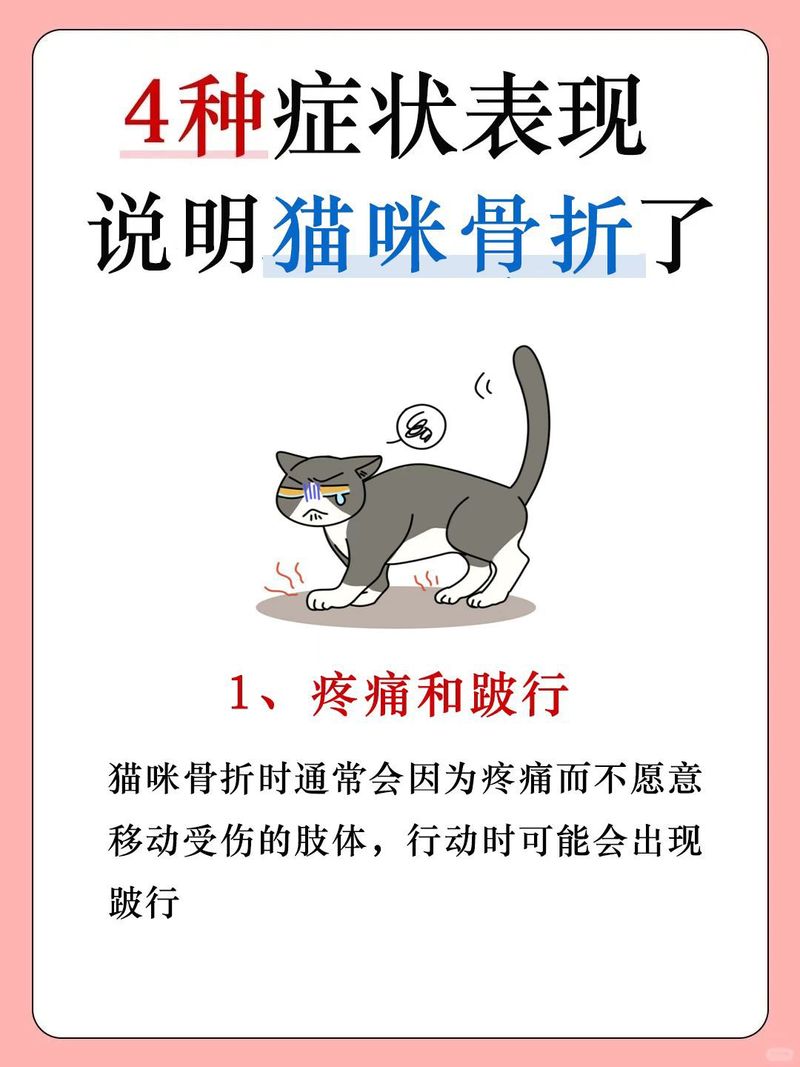 ...小猫的两个后腿好像受伤了,我爸说他腿骨折了,治不好了,怎么办...