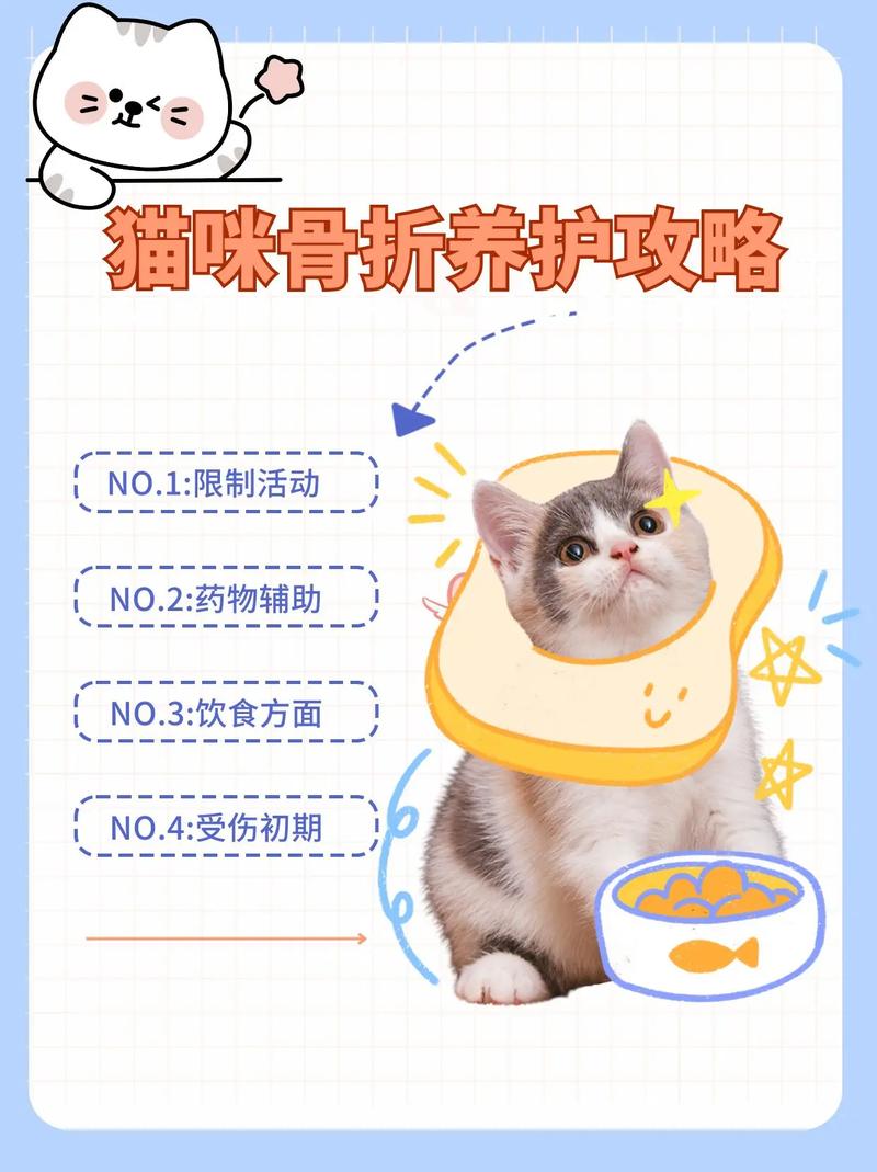 猫咪前腿粉碎性骨折不做手术可以吗?该怎么办?