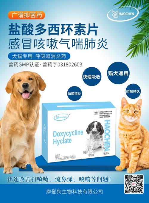 泰迪狗发烧吃什么药