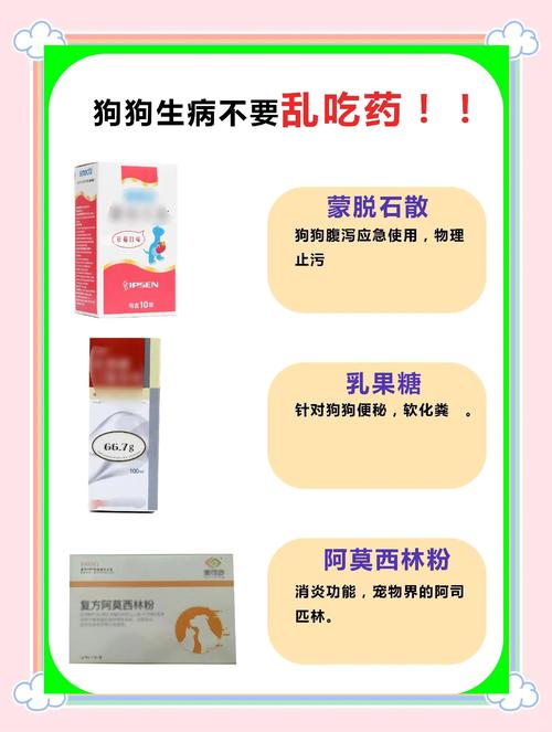 狗狗发烧了吃什么药好的快