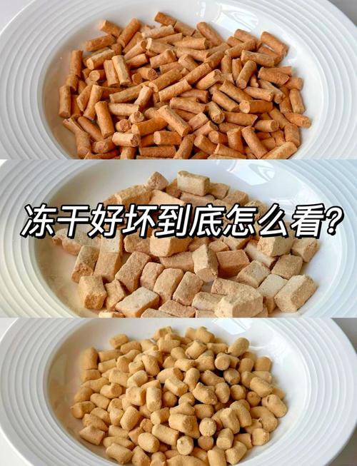 自制猫零食冻干的做法有哪些呢?