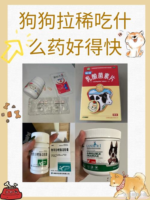 狗拉稀可以吃人的药吗