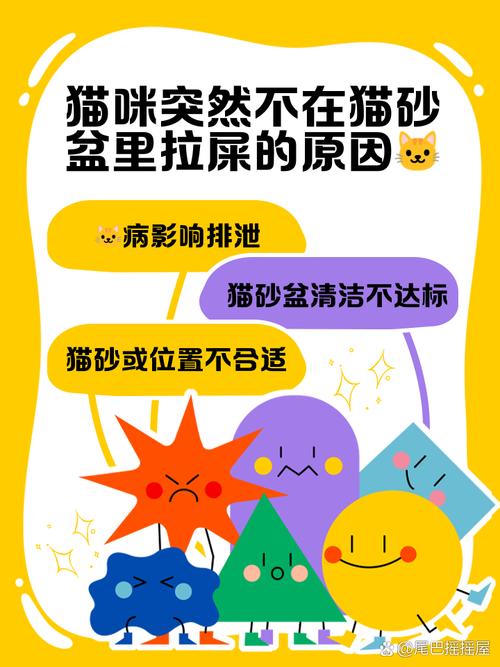 猫大便干燥拉不出来怎么办