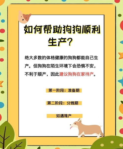 狗狗刚生完小狗注意事项