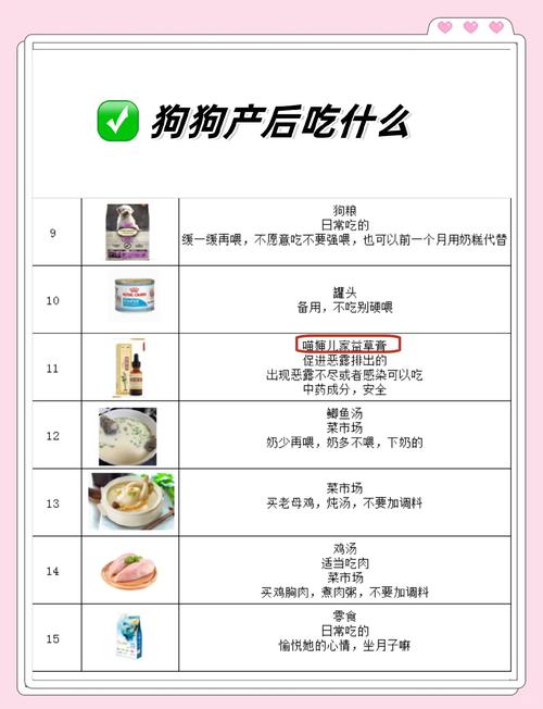 狗生完小狗要注意什么