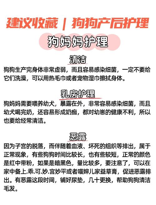 狗狗刚生完需要注意些什么?