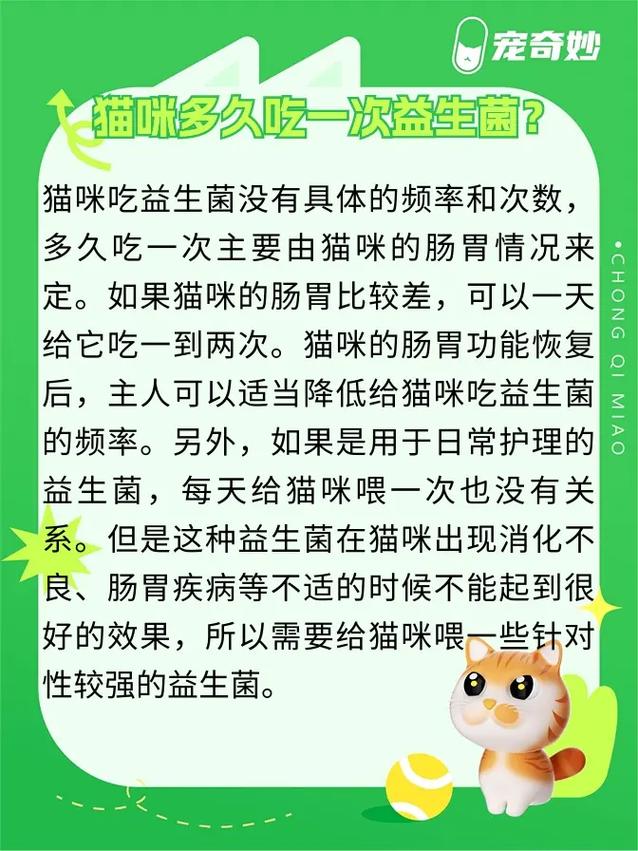 布拉迪益生菌猫咪怎么吃