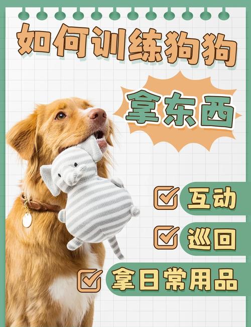 哪家快递公司可以托运狗狗?
