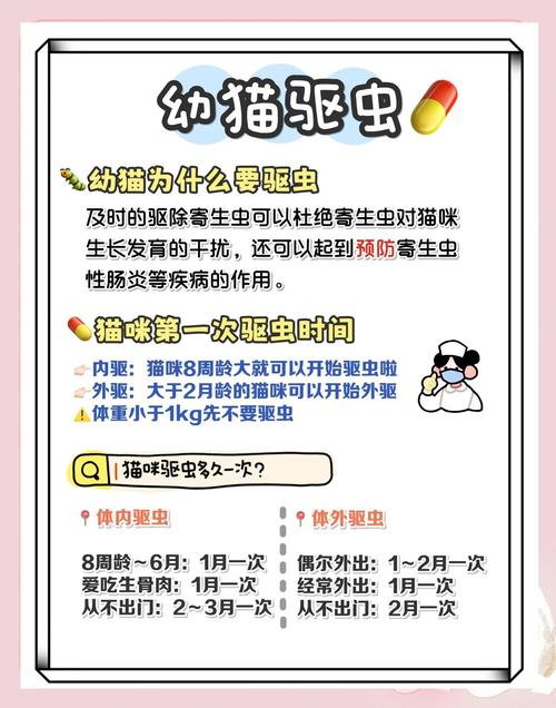 给猫咪驱虫一次多少钱啊?
