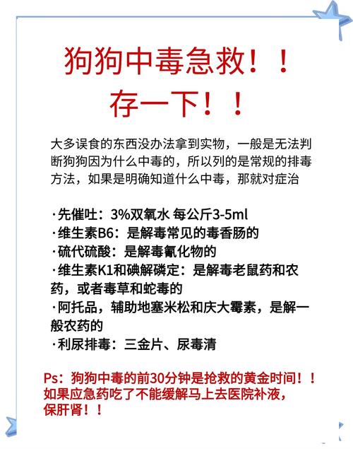狗狗吃了农药怎么办