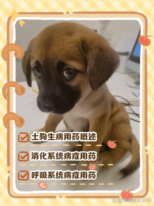 狗狗吃了轻微的农药能自愈吗
