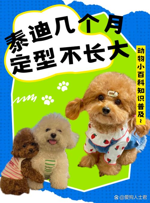 狗长到几个月就不长了?