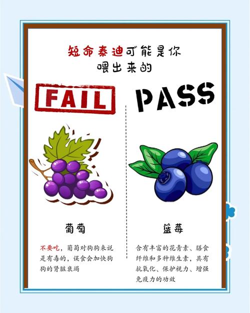 泰迪犬可以吃银鱼吗