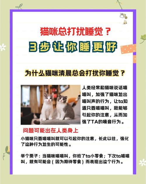四个月大的猫咪晚上不睡觉一直叫是怎么了?