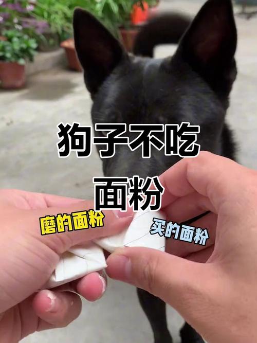 为什么让狗狗吃馒头
