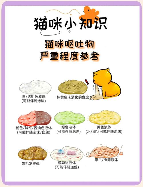 铲屎官们快看猫咪呕吐的6种情况