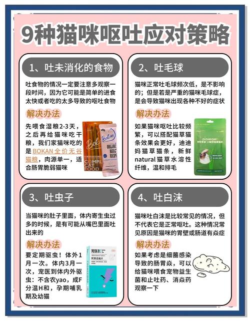 太及时了?猫咪呕吐怎么办判断+处理方法