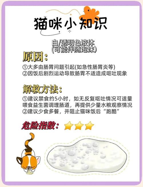 猫咪呕吐5种原因最后1种快去医院