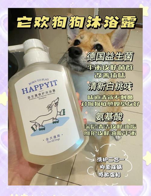 给狗狗洗澡用什么好
