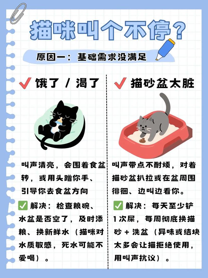 为什么自家的猫咪总是叫个不停?