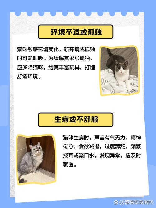 猫咪突然每天总在叫,而且声音是嗷嗷的那种很粗的叫声,是怎么回事?_百度...