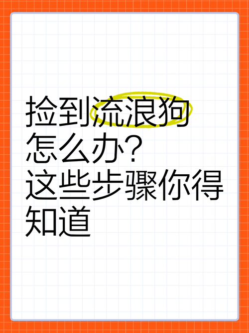 捡到一只流浪狗,应该怎么处理?