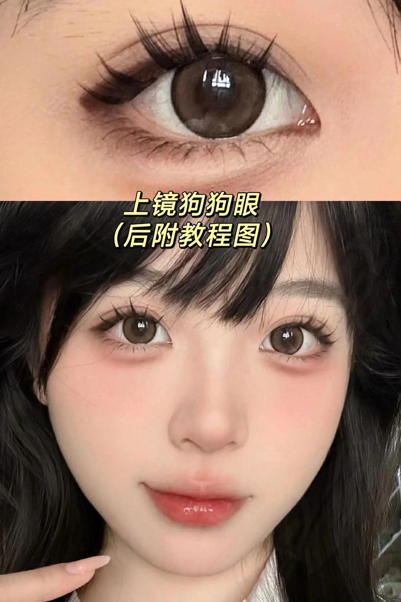 怎么看懂狗狗的眼神?